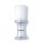 CEPILLO PROFESIONAL DE TALCO TERMIX TRANSPARENTE